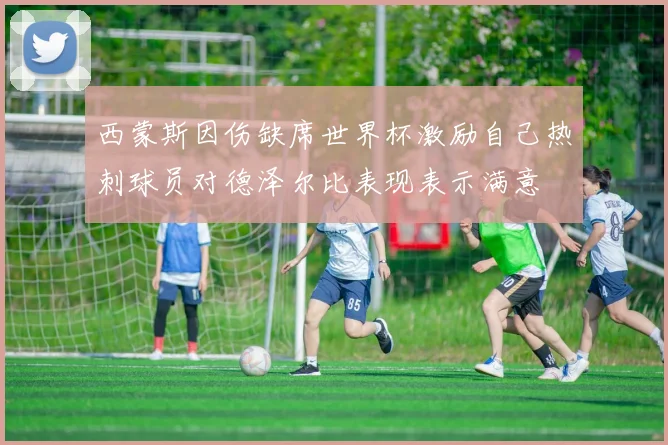 西蒙斯因伤缺席世界杯激励自己热刺球员对德泽尔比表现表示满意